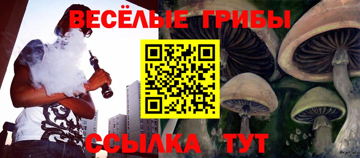 Псилоцибиновые грибы GOLDEN TEACHER Тулун